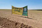 Shmita as a continuation of the revelation at Sinai
