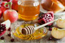Rosh Hashanah Guide