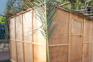Yoni Kempinski The ‘kol dichfin’ call of Sukkot