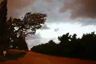 Flash 90 “The heavens were opened"