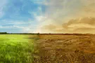 Earth on track to break heat record again