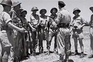 They did not surrender