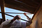 האזהרה החשובה לבוני הסוכות
