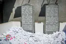 The Rebbe and Eretz Yisrael