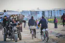 צילום: עלי חסן, פלאש 90 מחצית מהעזתים: מוכנים לבקש סיוע ולעזוב