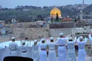 צילום: ללא מה יותר מציק בין המצרים או בימ"ק חרב?