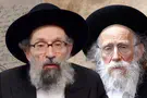2 Great Rabbis Join Forces To Save 10 Children