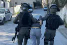 Arab teen attempted to carry out terror attack using AI