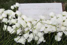 Thousands of RFK assassination documents released