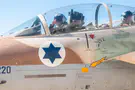 'We saw the fires in Iran's nuclear bases with our own eyes'