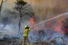 Over 190 fires erupt across Israel amid extreme heatwave