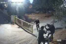 Border Police ambush car thieves near Moshav Porat