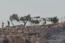 Arab and leftist mob attack Jewish shepherd