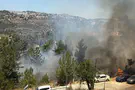 הושגה שליטה בשריפה שפרצה ביער ירושלים