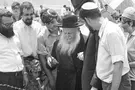 Parashat Shlach: Halfway Emunah