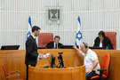 שטיין-שטייניץ: הרפורמה האמיתית