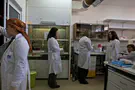The life-saving Weizmann Institute and the masochistic West