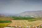 How 100 agricultural farms are protecting Israel's land