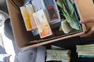 התחזו והפילו עשרות קשישים דוברי רוסית