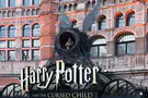 ספין-אוף  פרטי של הארי פוטר.