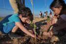 1,800 Murdered - 48 Hours to Plant Memorial Trees