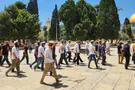 Unity on the Temple Mount: New body to lead Jewish ascents