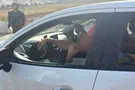 Father and three children rescued after entering Shechem