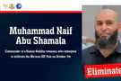 Nukhba commander who took part in Oct. 7 attack eliminated
