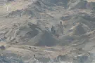 Watch: Terrorists exit tunnel, one is eliminated