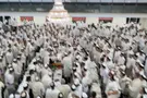 «Как вернуть изучение Торы в жизнь взрослых»