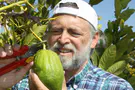 Be an Etrog!