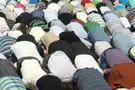 They call terrorists insane to deny the madness in welcoming them
