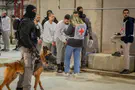 Red Cross visits have not resumed