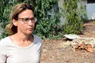 למה הציבור משלם על ייצוג הפצ"רית?