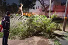 Heavy winds sweep across Israel - two injured