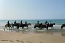 צילום: עמותת תימורה מה עושים כשהילד שלך מתרחק?