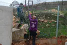Israeli activists plant trees in southern Lebanon