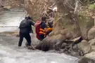Drama in Snir River ends well