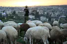 UK takes unprecedented step against Judea and Samaria communities