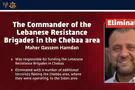 Senior terror commander killed in IDF strike in Lebanon