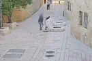 Man runs toward nun and throws her to the ground