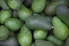 The Democrats' Guacamole Doctrine