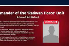 IDF confirms: Radwan Force commander eliminated