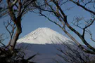 Japanese lessons