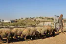 רצף יהודי היסטורי נרקם בין חברון לירושלים