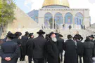 Temple Mount Administration The hasidic rebbe's surprising ruling