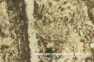 Watch: IDF targets terrorists who crossed 'yellow line'