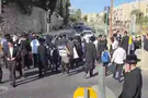 Mob Rule