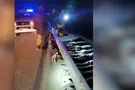 צילום: דוברות המשטרה Mass infiltration attempt foiled
