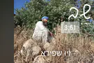 זיו שפירא חושף את המסע הנפשי